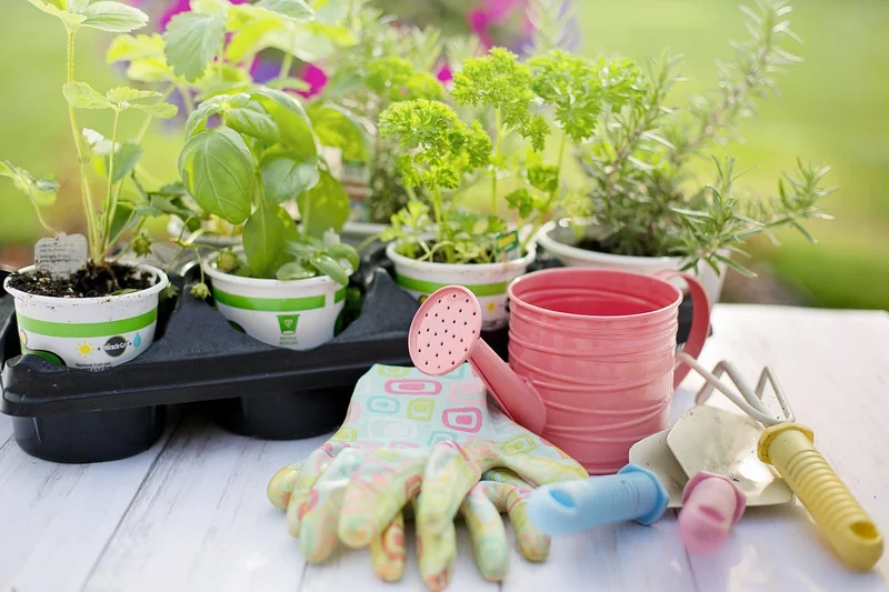 Les outils de jardinage : une catégorie à part