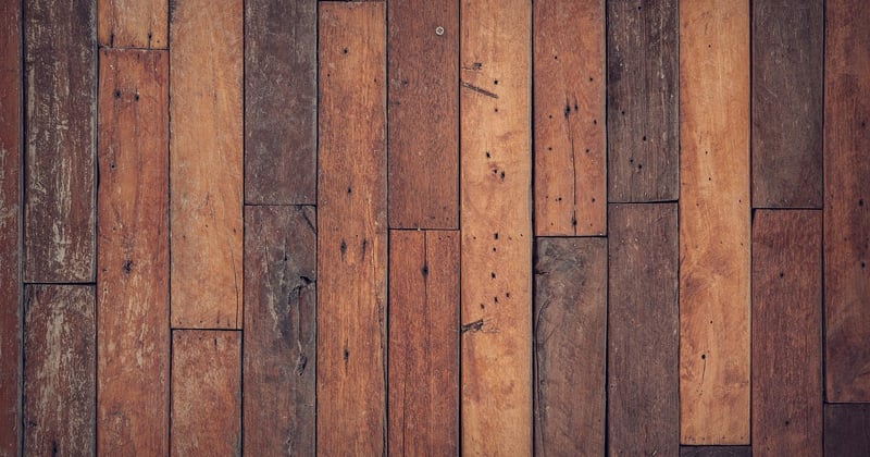 Parquet et chien : 7 astuces pour protéger vos sols des griffes